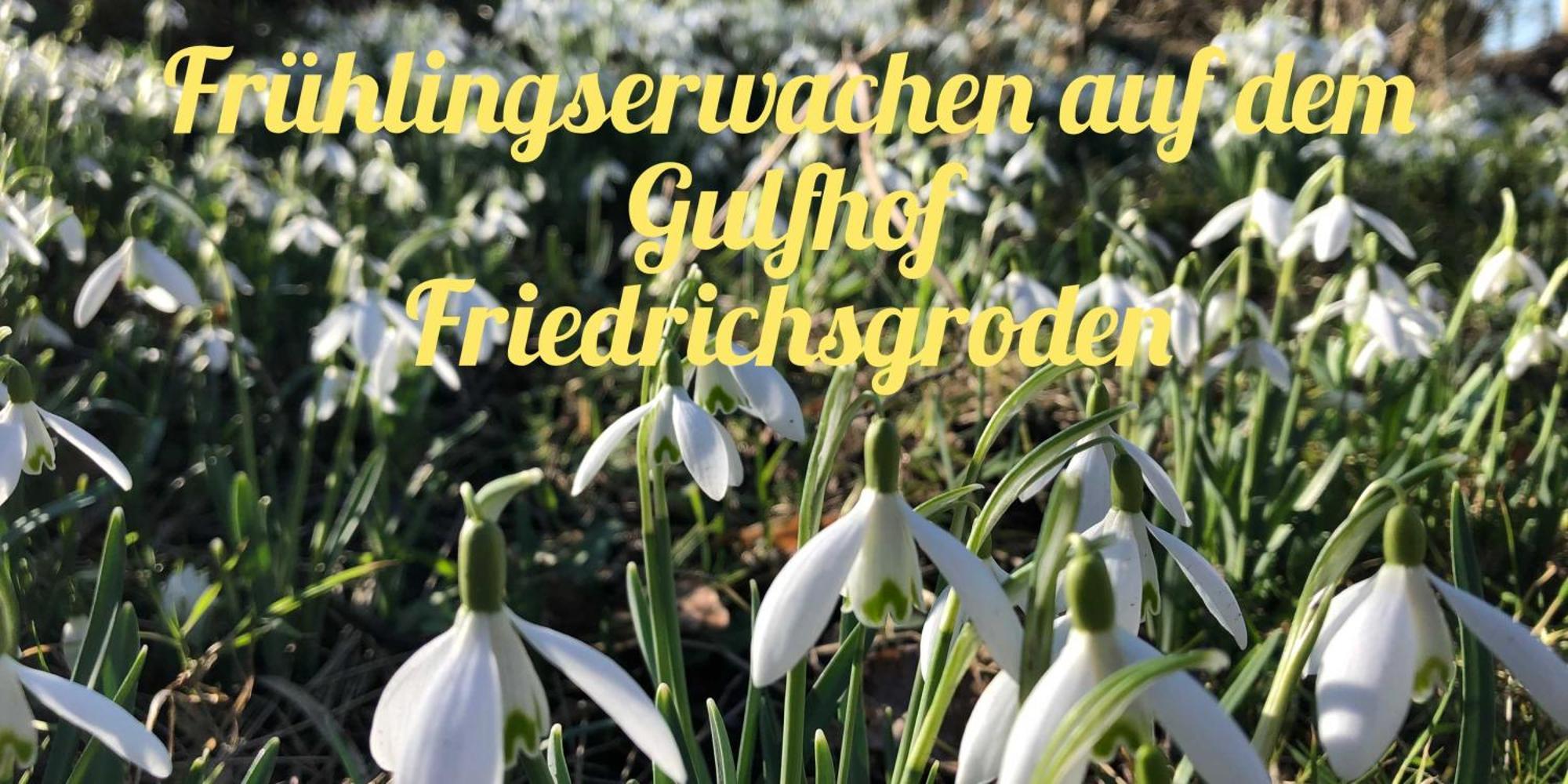 Gulfhof Friedrichsgroden Villa Carolinensiel Buitenkant foto