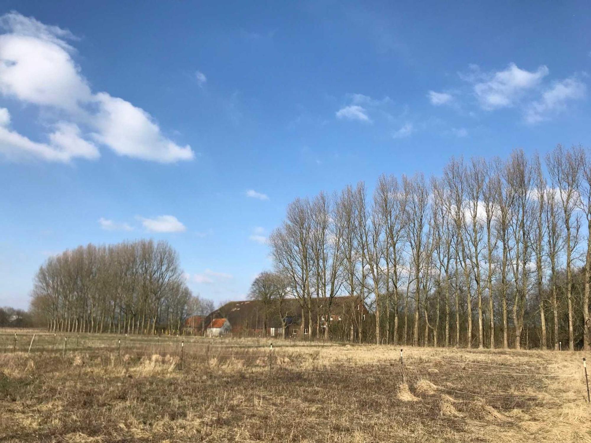 Gulfhof Friedrichsgroden Villa Carolinensiel Buitenkant foto