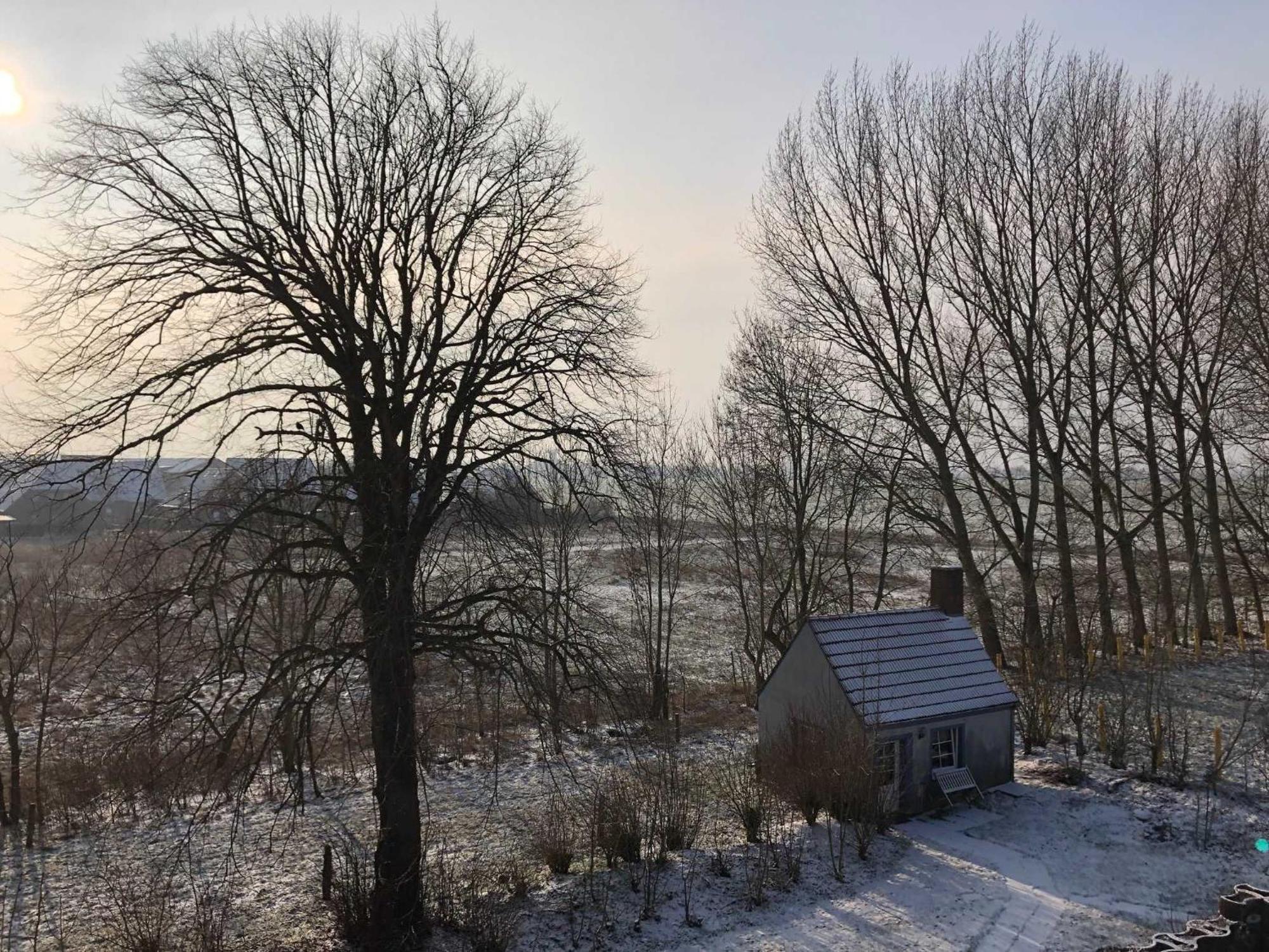 Gulfhof Friedrichsgroden Villa Carolinensiel Buitenkant foto