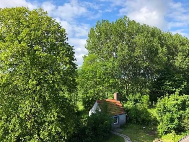 Gulfhof Friedrichsgroden Villa Carolinensiel Buitenkant foto